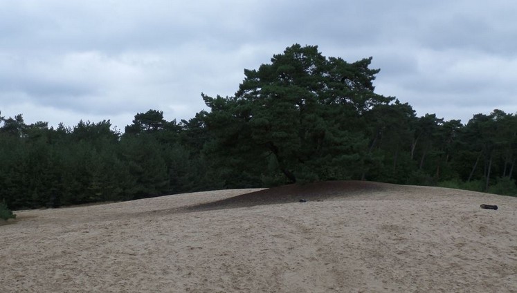 Route van de Maand November 2020