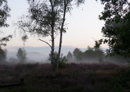 Route van de Maand Oktober 2021